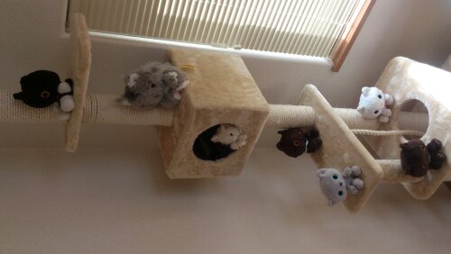 キャットタワーについて