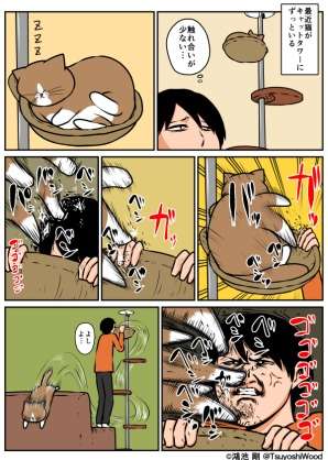 キャットタワーについて