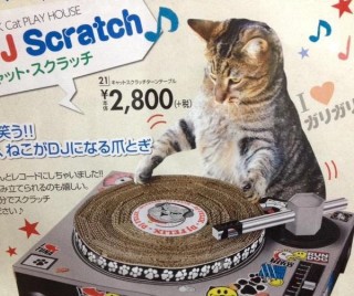 キャットタワーについて