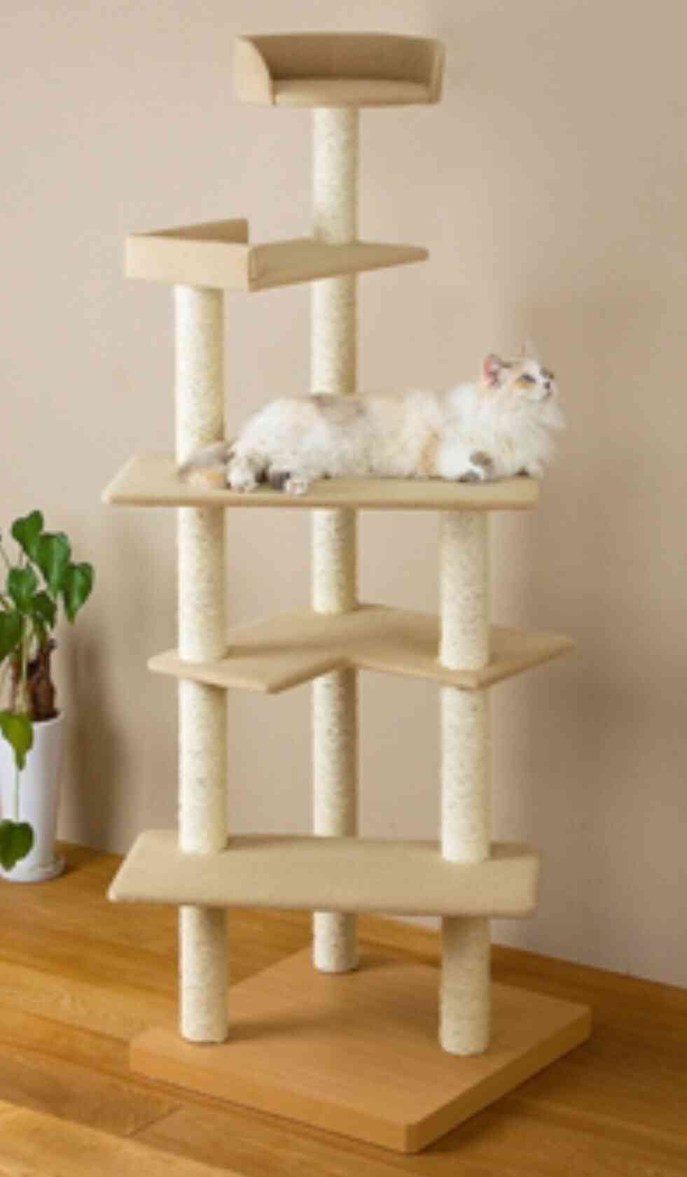 キャットタワーについて