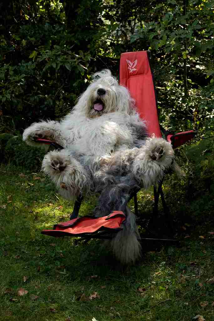 【画像】人間臭い動物鑑賞会