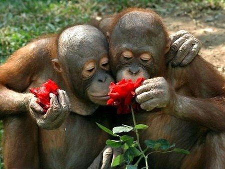【画像】人間臭い動物鑑賞会