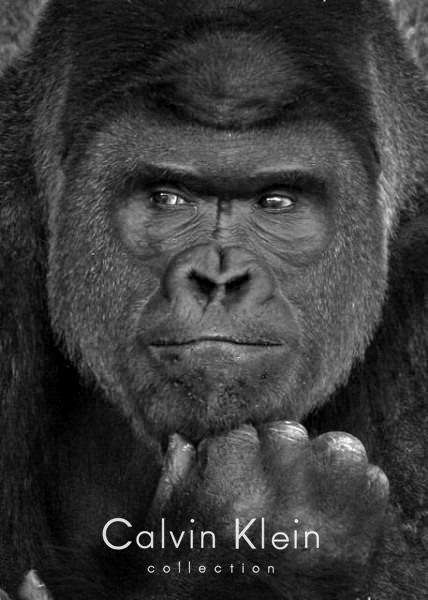 【画像】人間臭い動物鑑賞会