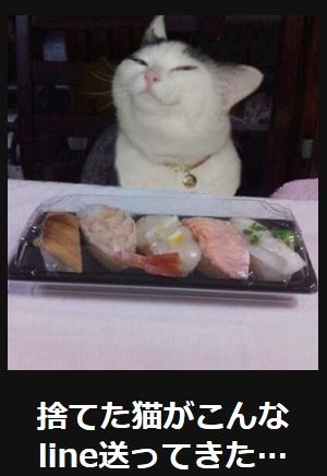 【画像】人間臭い動物鑑賞会
