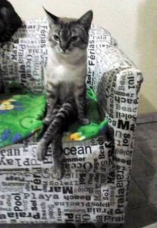 【画像】人間臭い動物鑑賞会