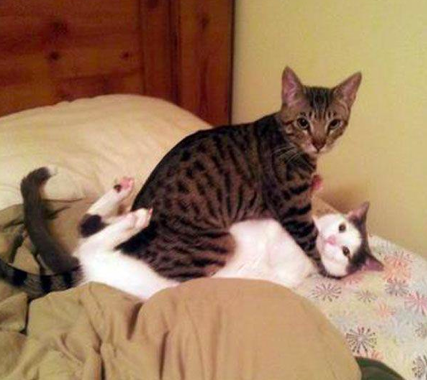 【画像】人間臭い動物鑑賞会