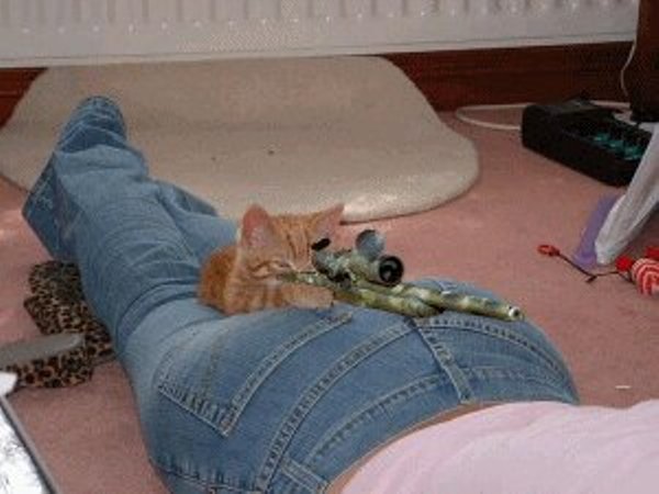 【画像】人間臭い動物鑑賞会