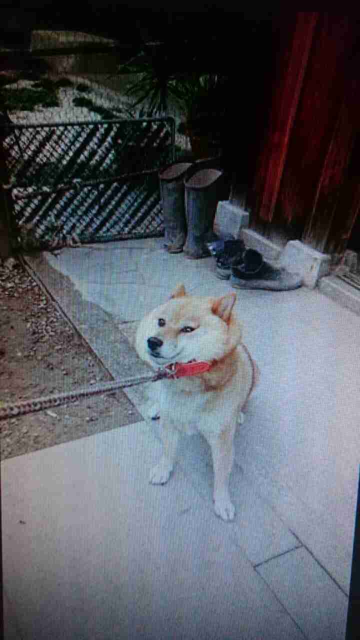 【画像】人間臭い動物鑑賞会