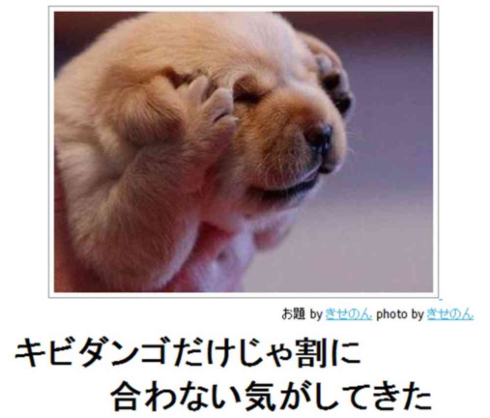 【画像】人間臭い動物鑑賞会