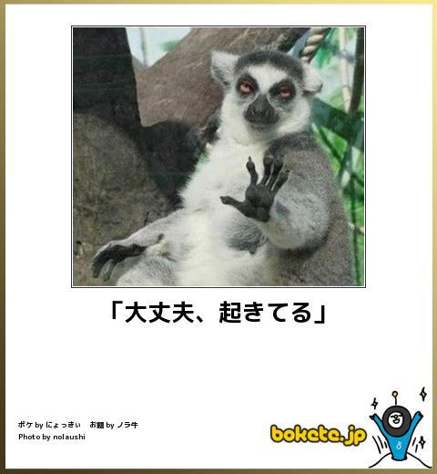 【画像】人間臭い動物鑑賞会