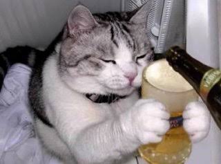 【画像】人間臭い動物鑑賞会