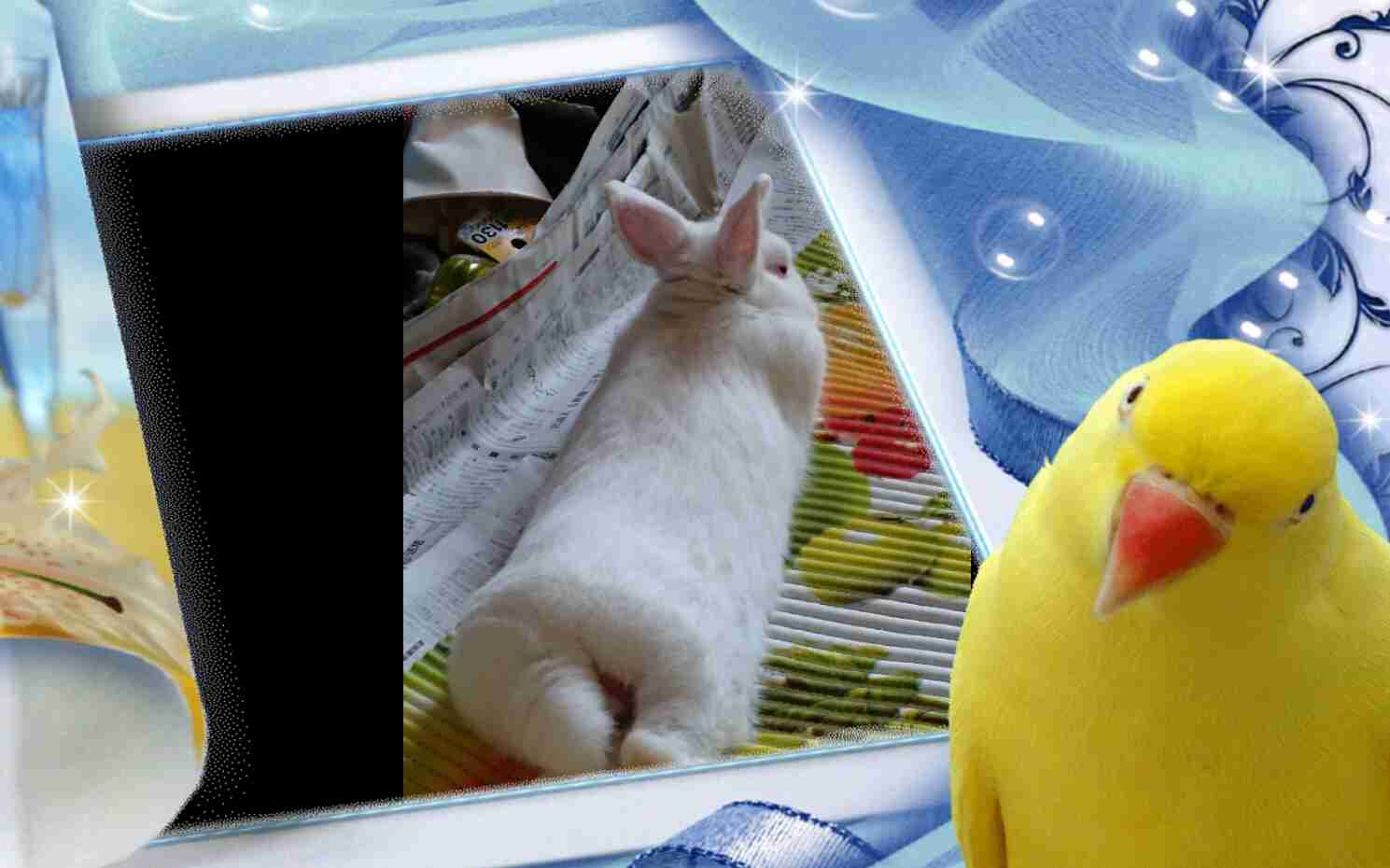 【画像】人間臭い動物鑑賞会
