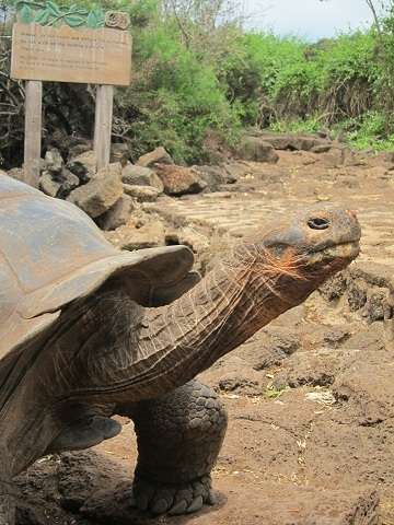 福山雅治、月9「ラヴソング」で結婚後初ドラマ！