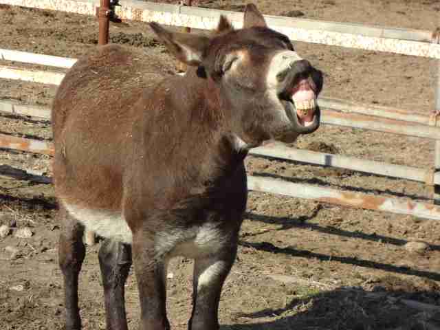 福山雅治、月9「ラヴソング」で結婚後初ドラマ！