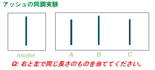 知っている心理学を教えて下さい