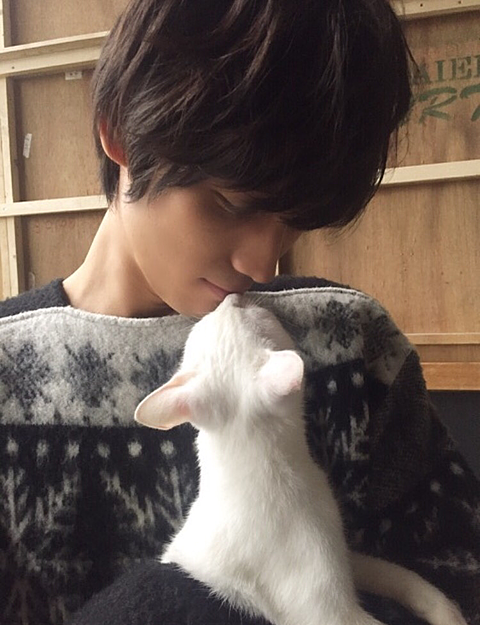 男性+動物の画像を集めよう