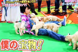 男性+動物の画像を集めよう