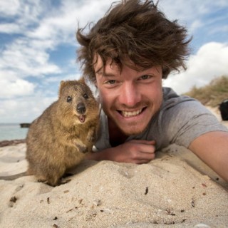 男性+動物の画像を集めよう