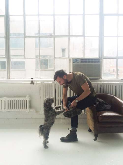 男性+動物の画像を集めよう
