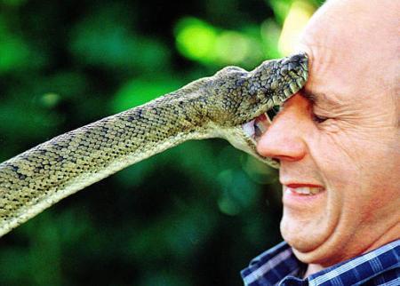 男性+動物の画像を集めよう