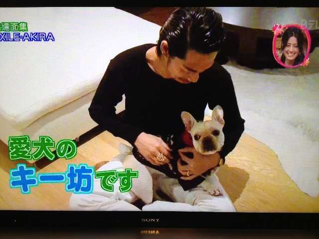 男性+動物の画像を集めよう