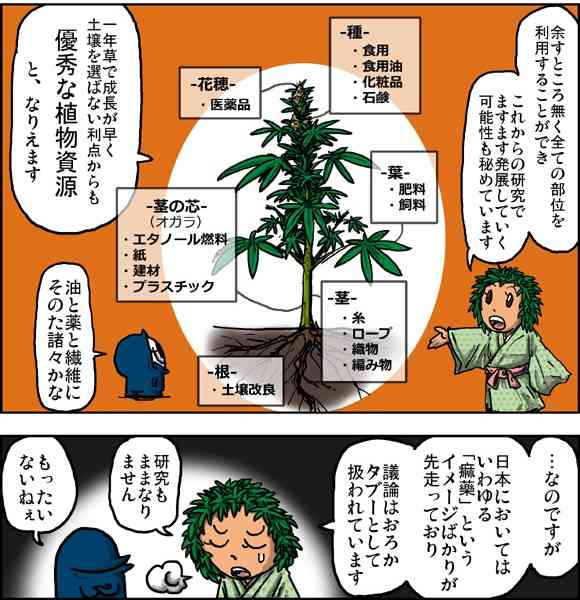大麻が合法化されたら吸ってみたいですか?