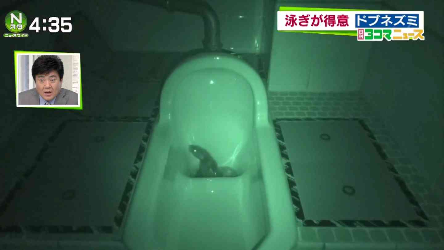 奴(○キブリ)が出た時のエピソード