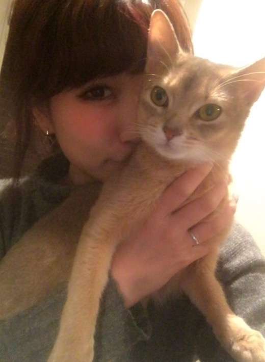 【猫の日】美形ネコ選手権