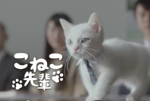 【猫の日】美形ネコ選手権