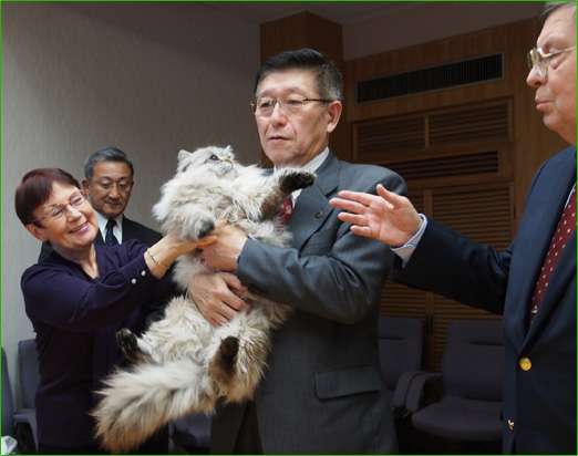 【猫の日】美形ネコ選手権