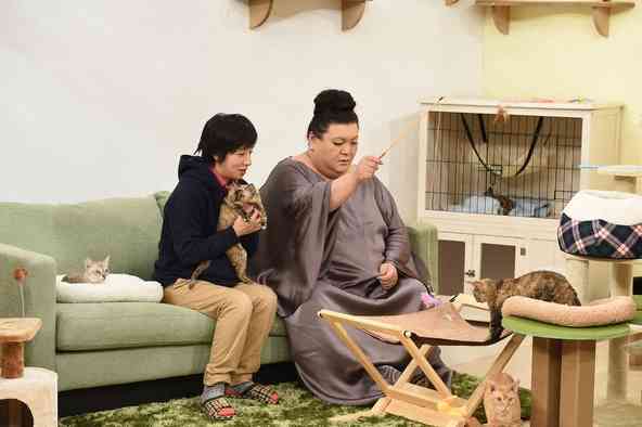 【猫の日】美形ネコ選手権