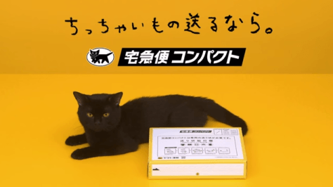 【猫の日】美形ネコ選手権