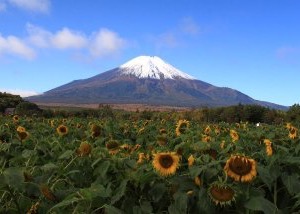 癒される田舎の風景