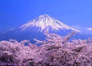 癒される田舎の風景
