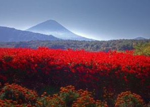 癒される田舎の風景