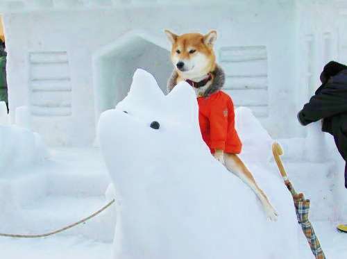 雪国あるある