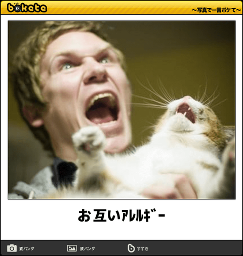 猫好きで猫アレルギーの人！！