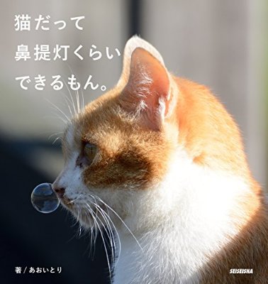 猫好きで猫アレルギーの人！！