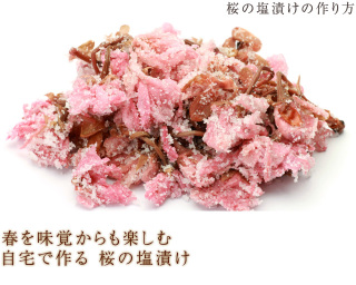 さくら味どうですか？