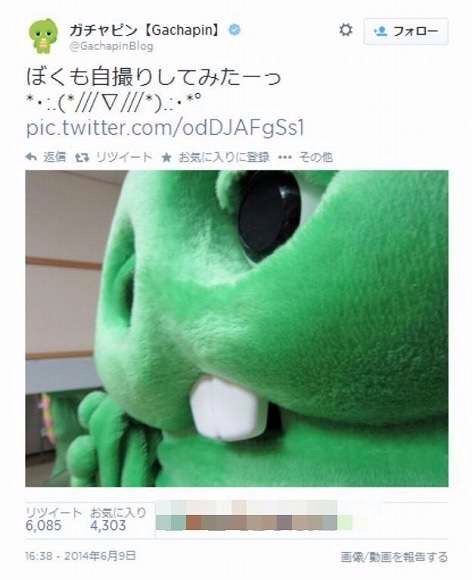 どアップの画像貼るトピ。