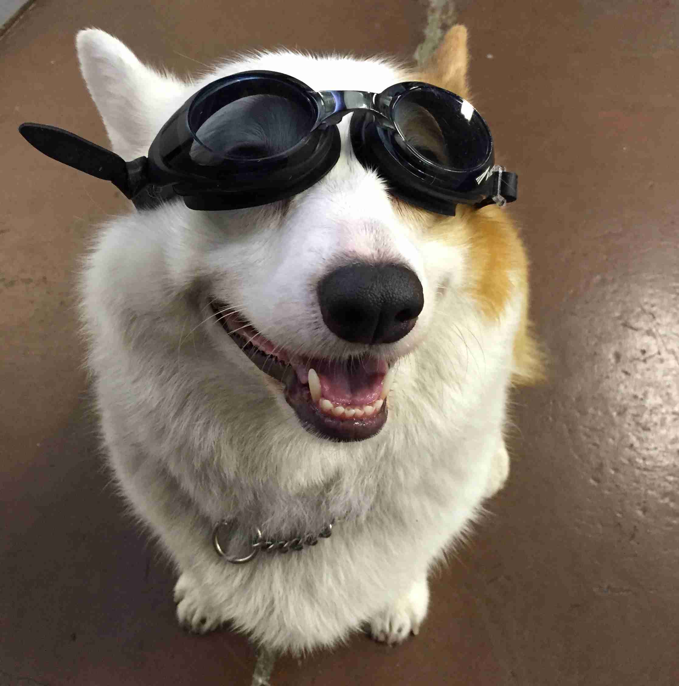 どアップの画像貼るトピ。