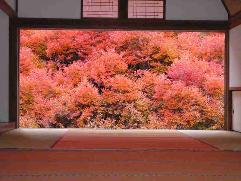 和の画像が集まるトピ