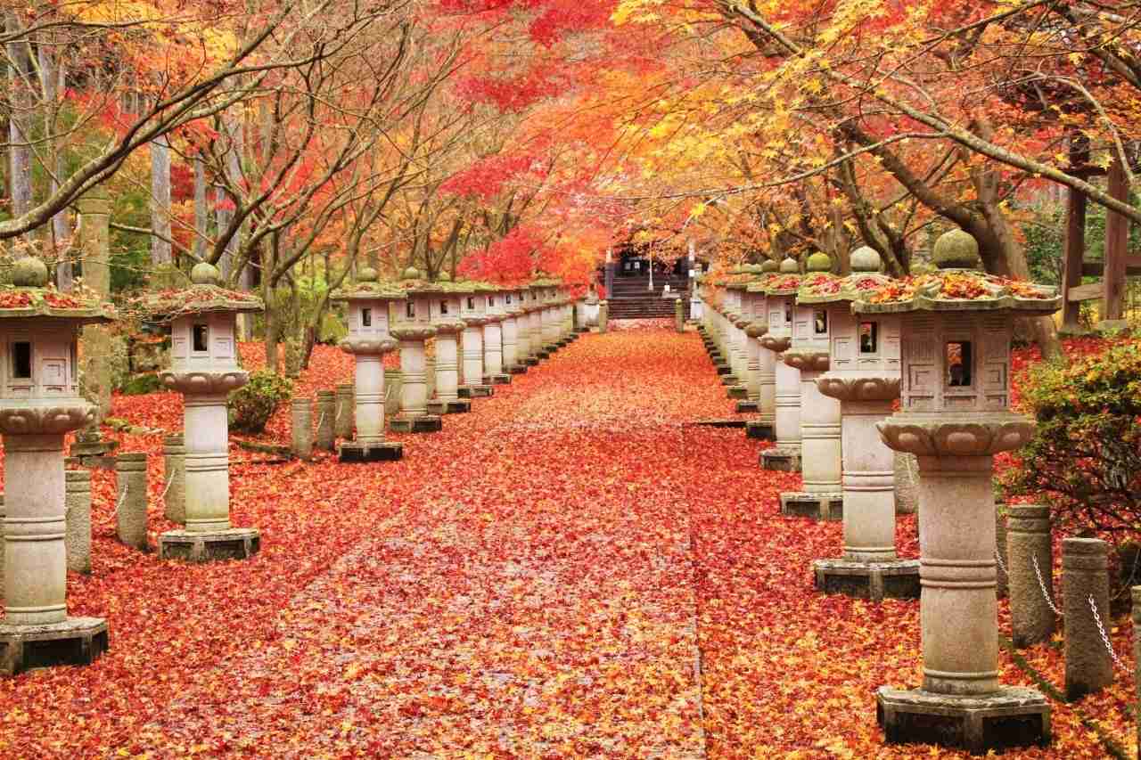和の画像が集まるトピ
