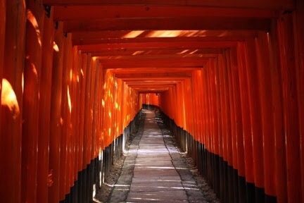 和の画像が集まるトピ