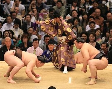 和の画像が集まるトピ