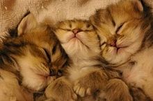 嵐・大野智ラブコメ初挑戦「”コメディー”が付いてて安心」