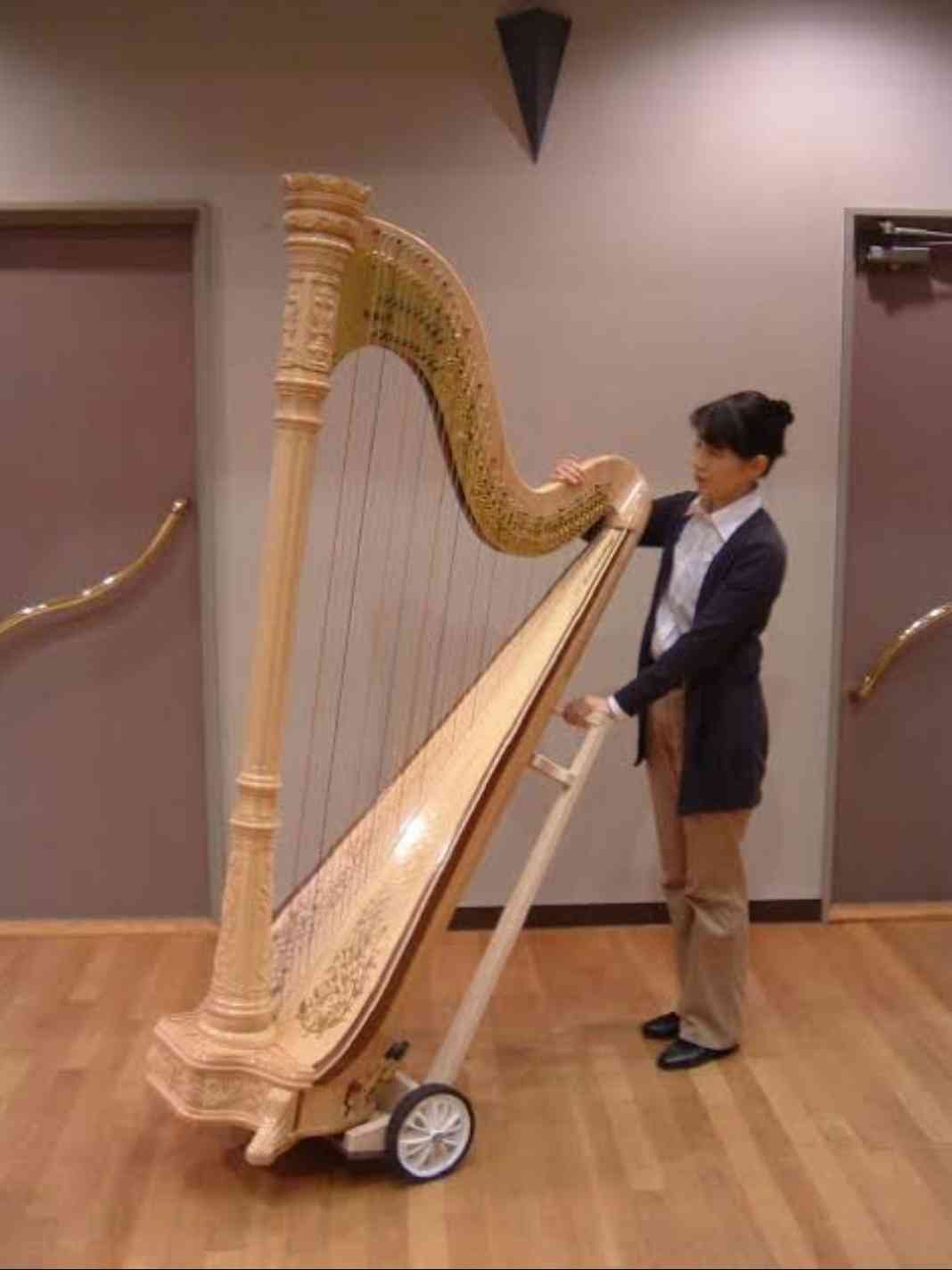 大人になってからの楽器レッスン