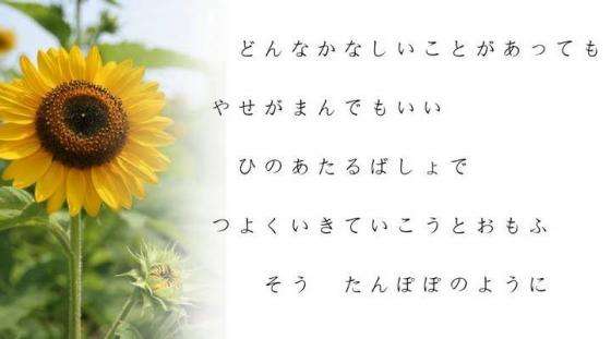 ふと思った事を書き込むトピ