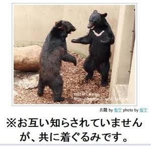 お気に入りのボケてをください