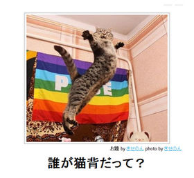お気に入りのボケてをください